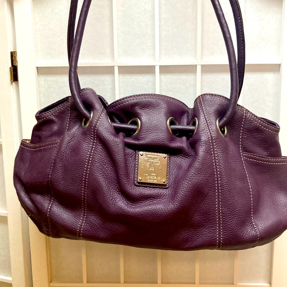 Tignanello Purple Purse